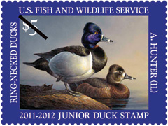2011 Junior Duck Stamp