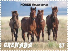 IGPC Stamps - Donkey and Horses Stamps, Grenada 2018