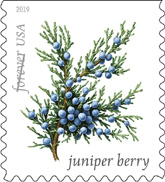 USPS - Winter Berry Forever Stamps, 2019