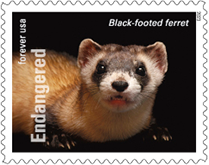 USPS, Endangered Species Forever Stamps, 2023