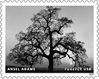  USPS Ansel Adams Forever Stamps!